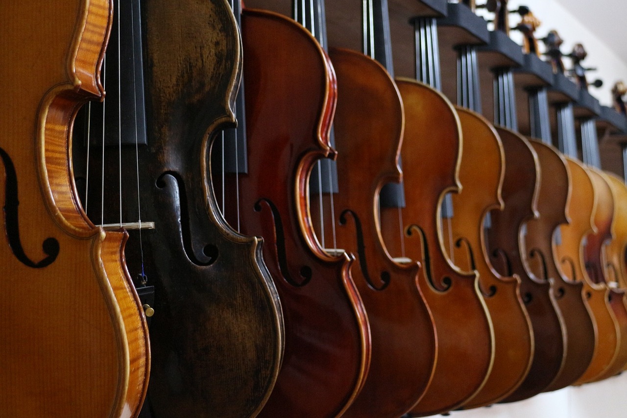 Guía y consejos para elegir tu violín - Violín